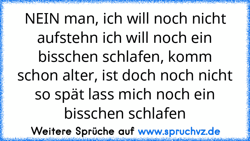 NEIN man, ich will noch nicht aufstehn ich will noch ein bisschen schlafen, komm schon alter, ist doch noch nicht so spät lass mich noch ein bisschen schlafen