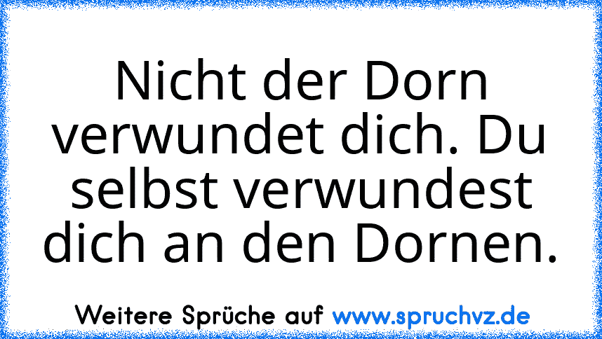 Nicht der Dorn verwundet dich. Du selbst verwundest dich an den Dornen.