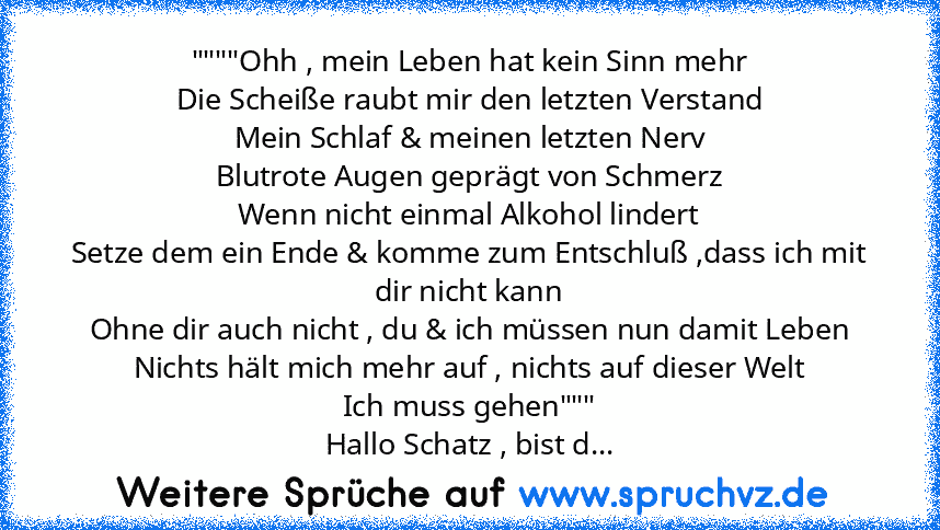 """"Ohh , mein Leben hat kein Sinn mehr
Die Scheiße raubt mir den letzten Verstand
Mein Schlaf & meinen letzten Nerv
Blutrote Augen geprägt von Schmerz
Wenn nicht einmal Alkohol lindert
Setze dem ein Ende & komme zum Entschluß ,dass ich mit dir nicht kann
Ohne dir auch nicht , du & ich müssen nun damit Leben
Nichts hält mich mehr auf , nichts auf dieser Welt
Ich muss gehen"""
Hallo Schatz , bis...