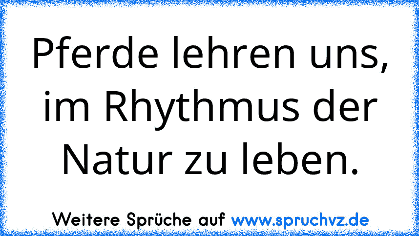 Pferde lehren uns, im Rhythmus der Natur zu leben.