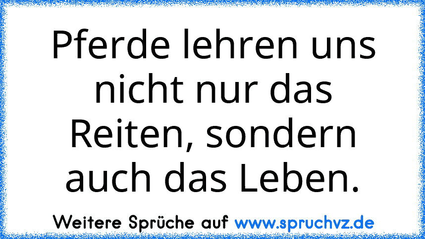 Pferde lehren uns nicht nur das Reiten, sondern auch das Leben.