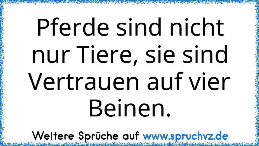 Pferde sind nicht nur Tiere, sie sind Vertrauen auf vier Beinen.