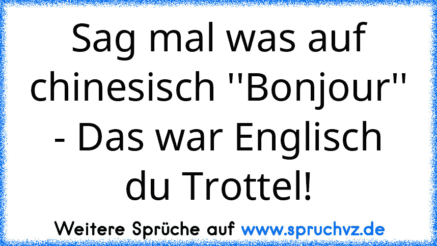 Sag mal was auf chinesisch ''Bonjour'' - Das war Englisch du Trottel!