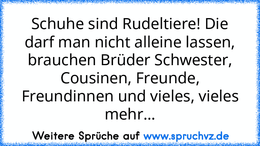 Schuhe sind Rudeltiere! Die darf man nicht alleine lassen, brauchen Brüder Schwester, Cousinen, Freunde, Freundinnen und vieles, vieles mehr...