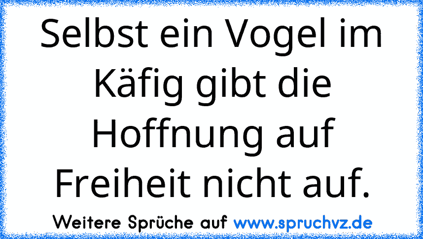 Selbst ein Vogel im Käfig gibt die Hoffnung auf Freiheit nicht auf.