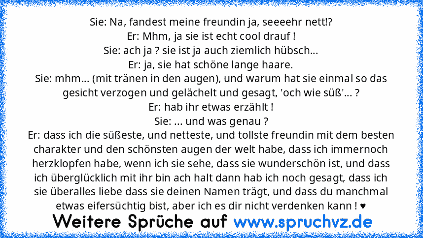 Sie: Na, fandest meine freundin ja, seeeehr nett!?
Er: Mhm, ja sie ist echt cool drauf !
Sie: ach ja ? sie ist ja auch ziemlich hübsch...
Er: ja, sie hat schöne lange haare.
Sie: mhm... (mit tränen in den augen), und warum hat sie einmal so das gesicht verzogen und gelächelt und gesagt, 'och wie süß'... ?
Er: hab ihr etwas erzählt !
Sie: ... und was genau ?
Er: dass ich die süßeste, und nettest...