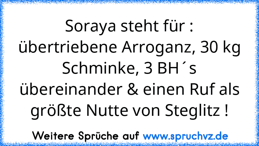 Soraya steht für : übertriebene Arroganz, 30 kg Schminke, 3 BH´s übereinander & einen Ruf als größte Nutte von Steglitz !