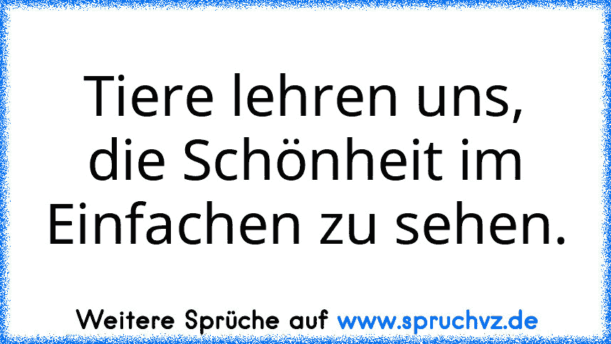 Tiere lehren uns, die Schönheit im Einfachen zu sehen.