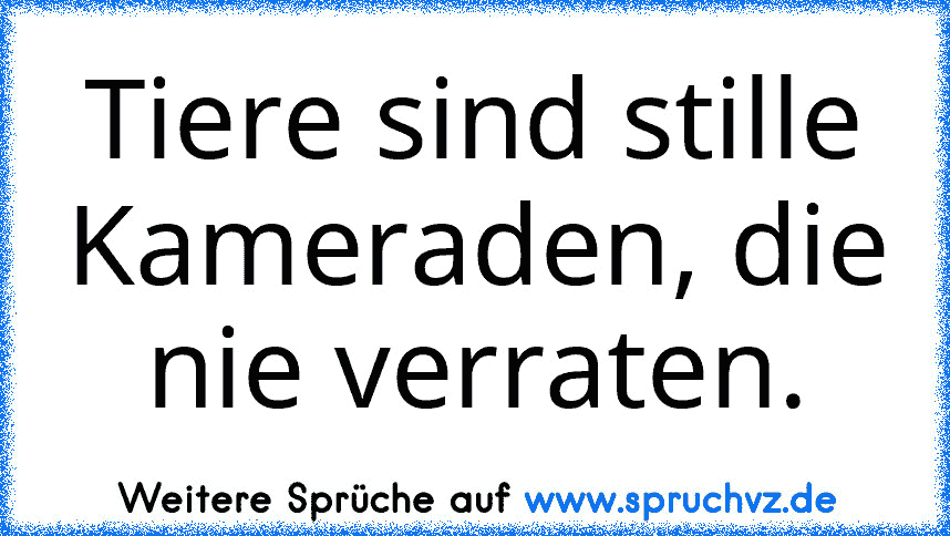 Tiere sind stille Kameraden, die nie verraten.