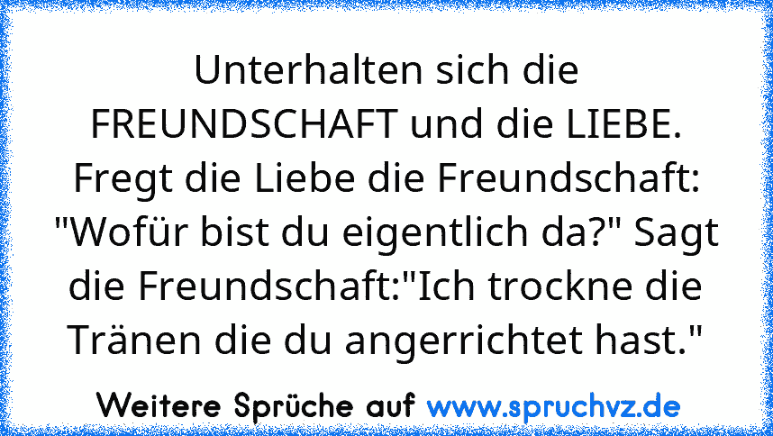 Unterhalten sich die FREUNDSCHAFT und die LIEBE. Fregt die Liebe die Freundschaft: "Wofür bist du eigentlich da?" Sagt die Freundschaft:"Ich trockne die Tränen die du angerrichtet hast."