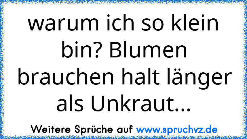 warum ich so klein bin? Blumen brauchen halt länger als Unkraut...