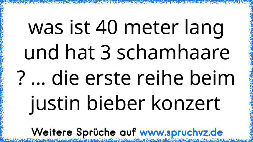 was ist 40 meter lang und hat 3 schamhaare ? ... die erste reihe beim justin bieber konzert