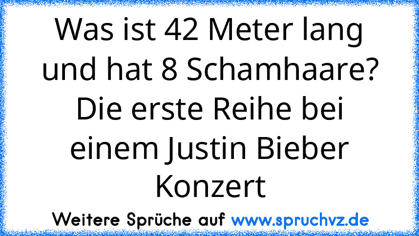 Was ist 42 Meter lang und hat 8 Schamhaare? Die erste Reihe bei einem Justin Bieber Konzert