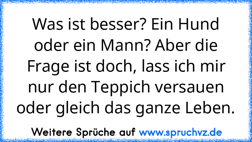 Was ist besser? Ein Hund oder ein Mann? Aber die Frage ist doch, lass ich mir nur den Teppich versauen oder gleich das ganze Leben.