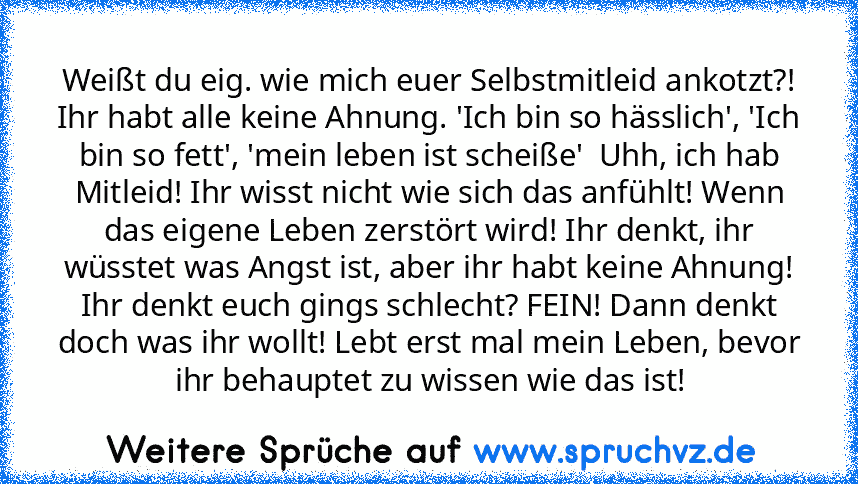 Weißt du eig. wie mich euer Selbstmitleid ankotzt?! Ihr habt alle keine Ahnung. 'Ich bin so hässlich', 'Ich bin so fett', 'mein leben ist scheiße'  Uhh, ich hab Mitleid! Ihr wisst nicht wie sich das anfühlt! Wenn das eigene Leben zerstört wird! Ihr denkt, ihr wüsstet was Angst ist, aber ihr habt keine Ahnung! Ihr denkt euch gings schlecht? FEIN! Dann denkt doch was ihr wollt! Lebt erst mal mein...