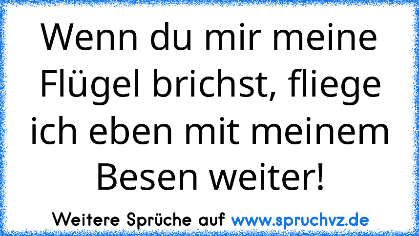 Wenn du mir meine Flügel brichst, fliege ich eben mit meinem Besen weiter!