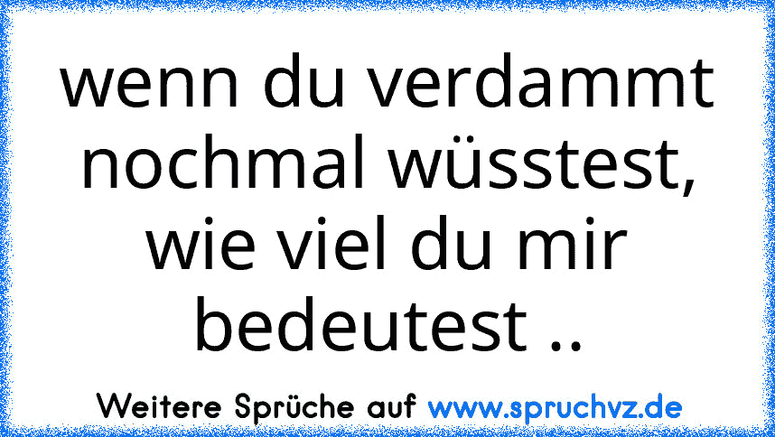 wenn du verdammt nochmal wüsstest, wie viel du mir bedeutest ..