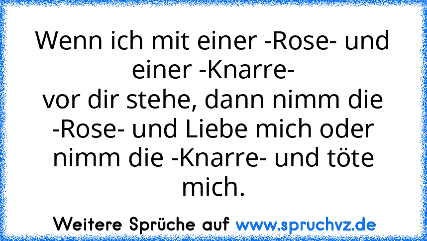 Wenn ich mit einer -Rose- und einer -Knarre-
vor dir stehe, dann nimm die -Rose- und Liebe mich oder nimm die -Knarre- und töte mich.