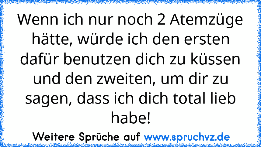 Wenn ich nur noch 2 Atemzüge hätte, würde ich den ersten dafür benutzen dich zu küssen und den zweiten, um dir zu sagen, dass ich dich total lieb habe!