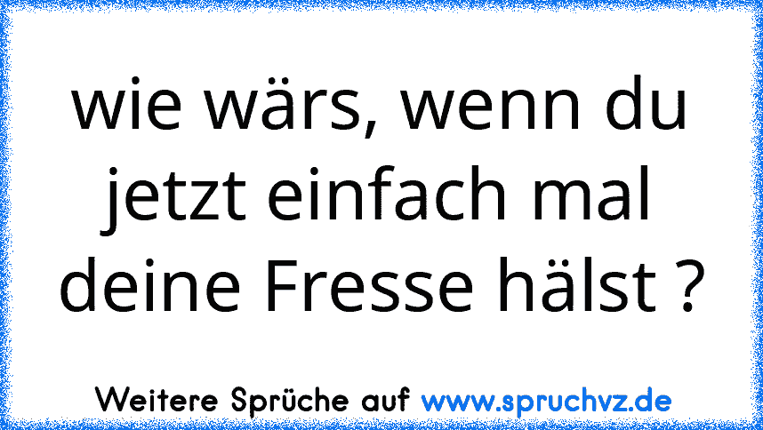 wie wärs, wenn du jetzt einfach mal deine Fresse hälst ?