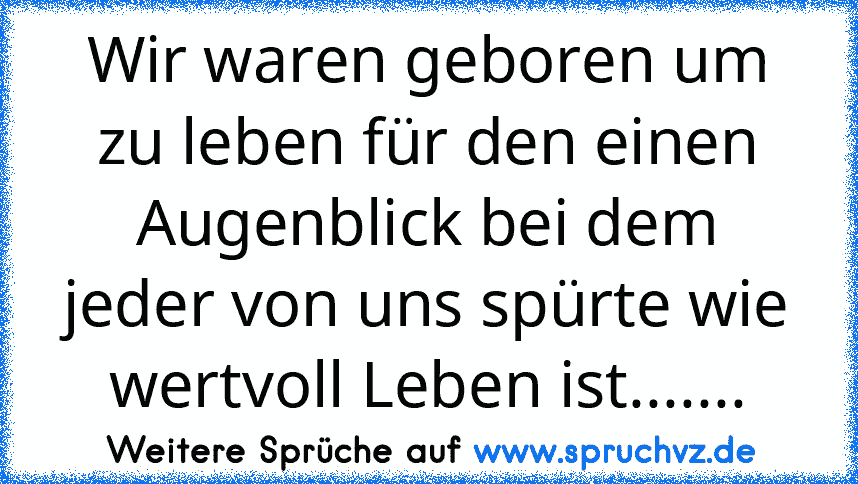 Wir waren geboren um zu leben für den einen Augenblick bei dem jeder von uns spürte wie wertvoll Leben ist.......