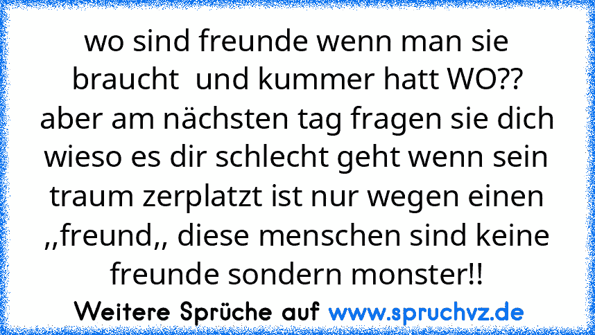 wo sind freunde wenn man sie braucht  und kummer hatt WO?? aber am nächsten tag fragen sie dich wieso es dir schlecht geht wenn sein traum zerplatzt ist nur wegen einen ,,freund,, diese menschen sind keine freunde sondern monster!!