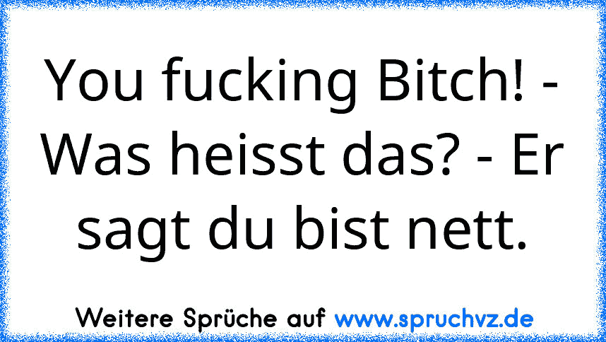 You fucking Bitch! - Was heisst das? - Er sagt du bist nett.