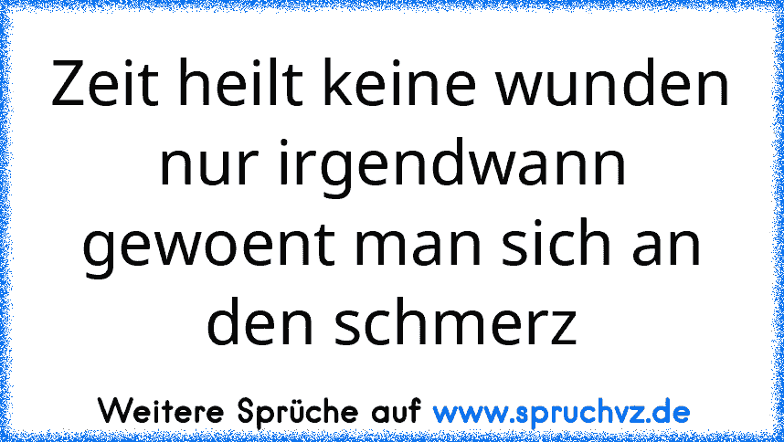 Zeit heilt keine wunden nur irgendwann gewoent man sich an den schmerz